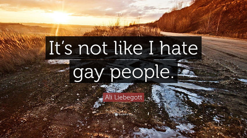 Ali Liebegott Quote: “It's not like I hate gay people.” HD wallpaper