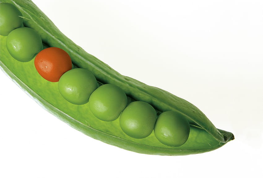 Close Up graphy of Green Pea Pod · Stock, green peas HD wallpaper
