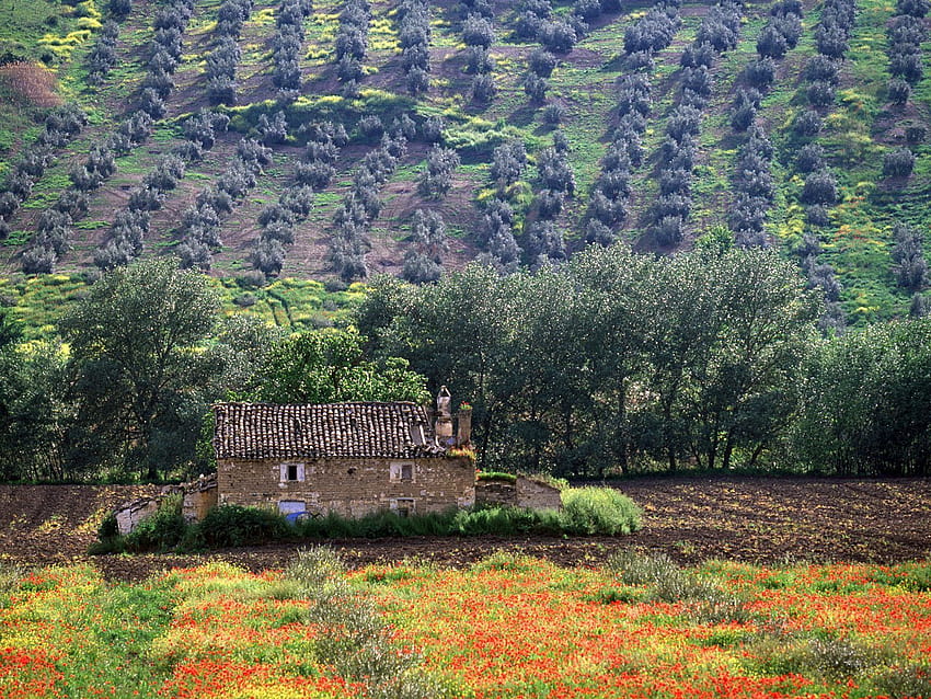 Andalucia Spain Fresh New, andalusia HD wallpaper