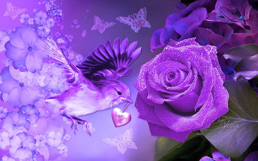 Blumen: Design Purple Viola Mothers Artwork Vogelschmetterlinge, 3D-Blume Rose HD-Hintergrundbild