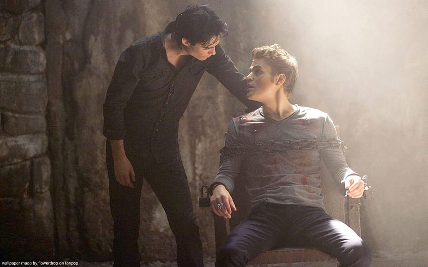 Damon y Stefan Salvatore fondo de pantalla