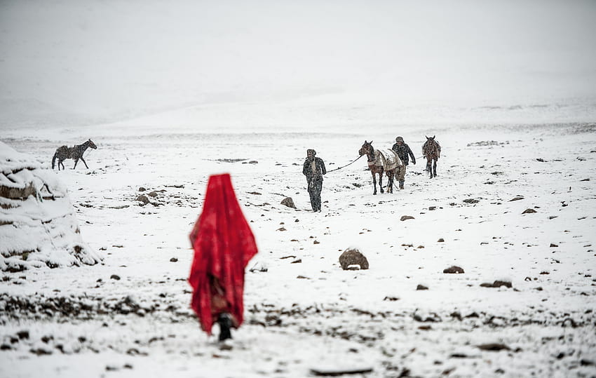 : ngc, Afghanistan, snow, white, yurt, red, kyrgyz, horse, travel, adventure, pamir, wakhan, mountain, shepherd, girl, lonelyplanet 4247x2692 HD wallpaper