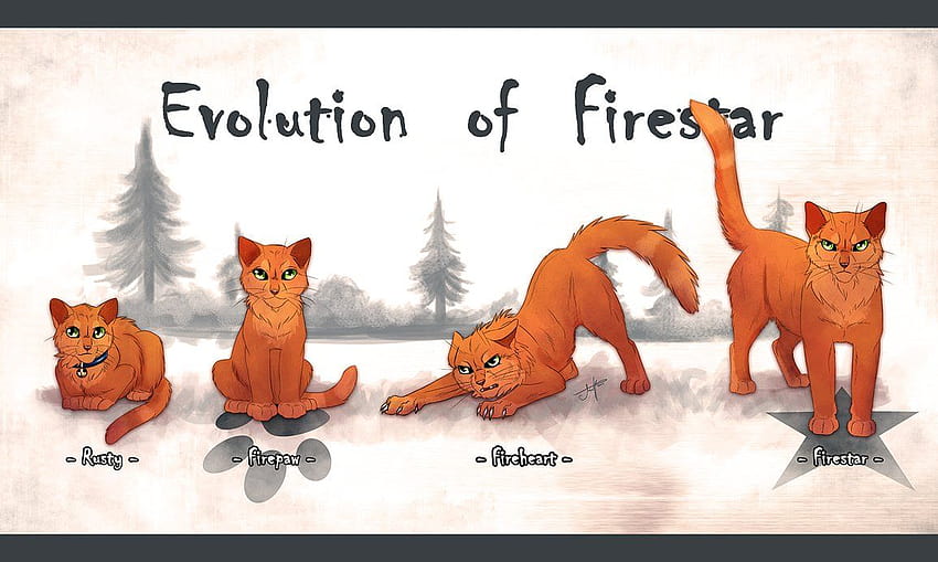 Evolution Of Firestar, firestar warrior cats HD wallpaper | Pxfuel