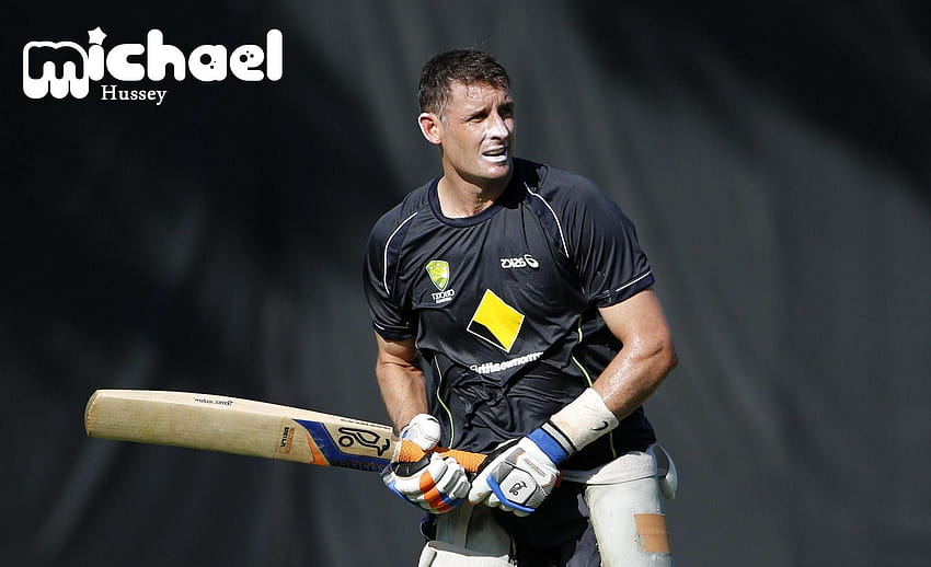 Michael Hussey Biography – Beautiful Women HD wallpaper