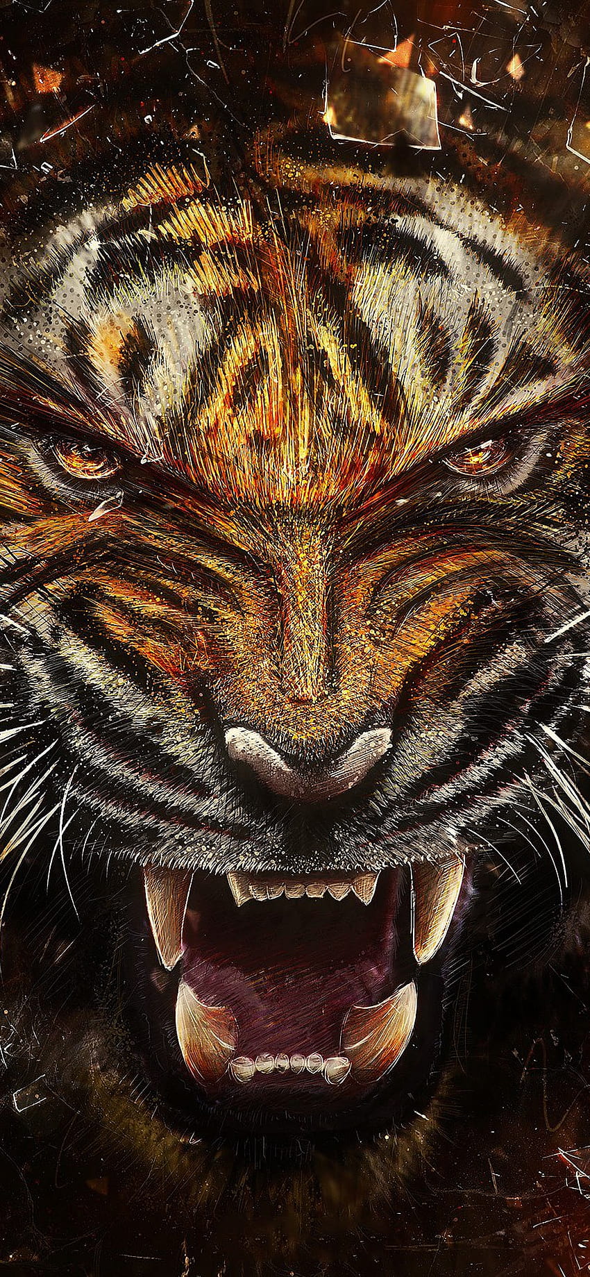 Tiger Growl HD phone wallpaper