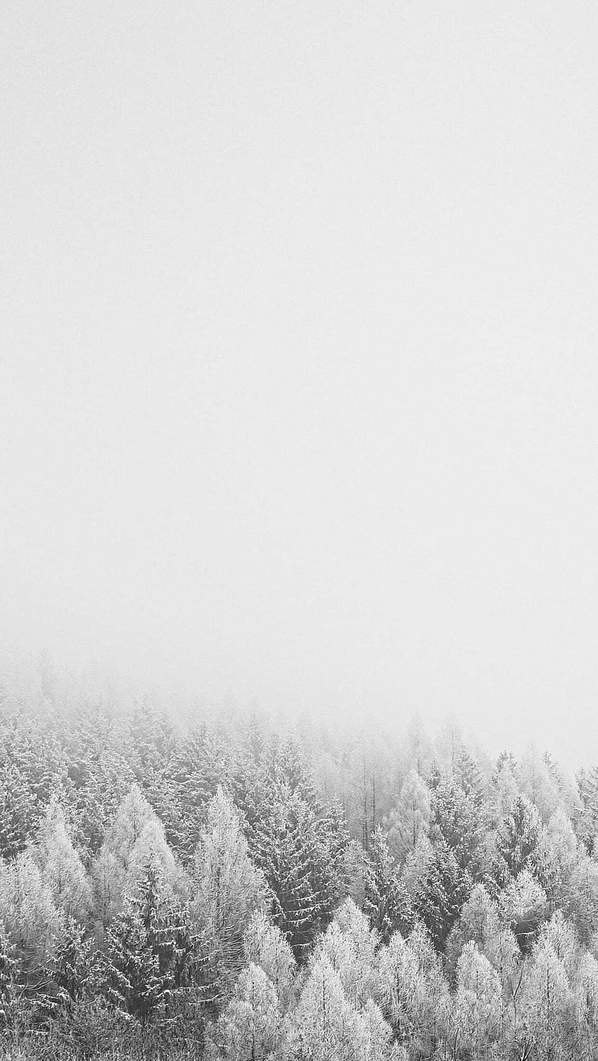 Pohon yang tertutup salju, estetika musim dingin minimal wallpaper ponsel HD