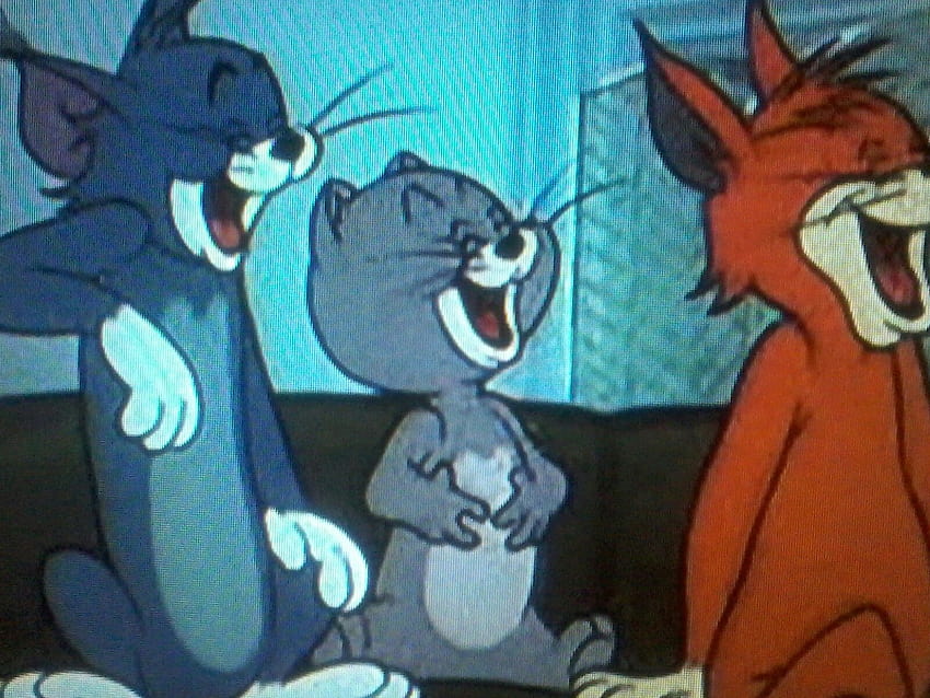 Tom i Jerry Topsy Cat Laughing Pinterest, memy z tomem i jerrym Tapeta HD