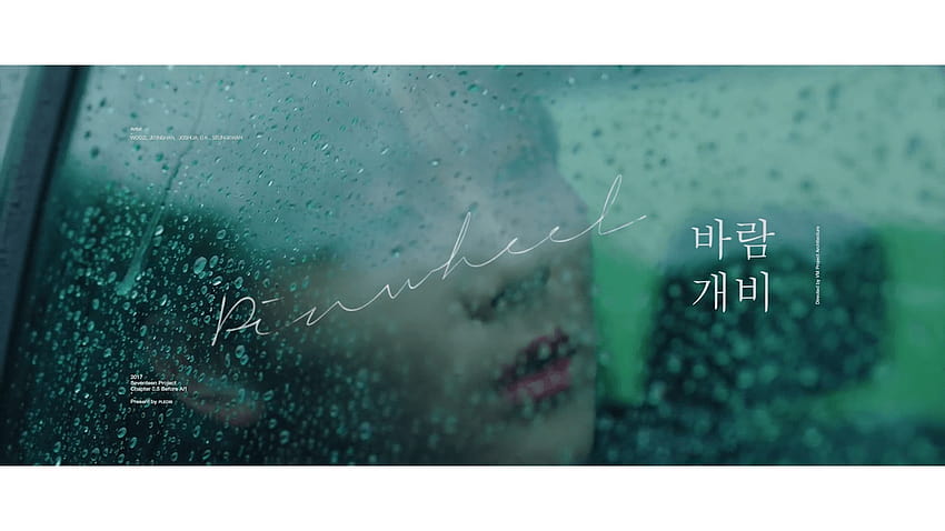CAP] Pinwheel, tujuh belas seungkwan Wallpaper HD