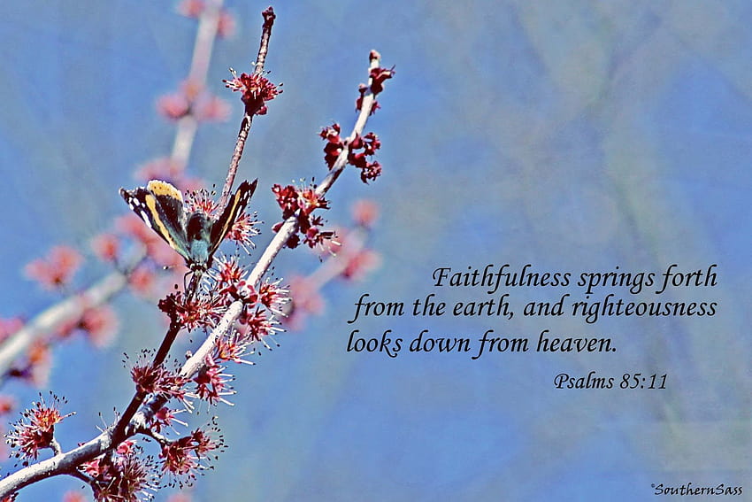 Spring Backgrounds with Bible Scripture [1600x1067] for your , Mobile & Tablet, spring bible HD wallpaper