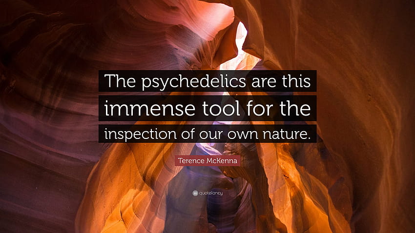 Terence McKenna Quote: “The psychedelics are this immense tool for the inspection of our own nature.” HD wallpaper