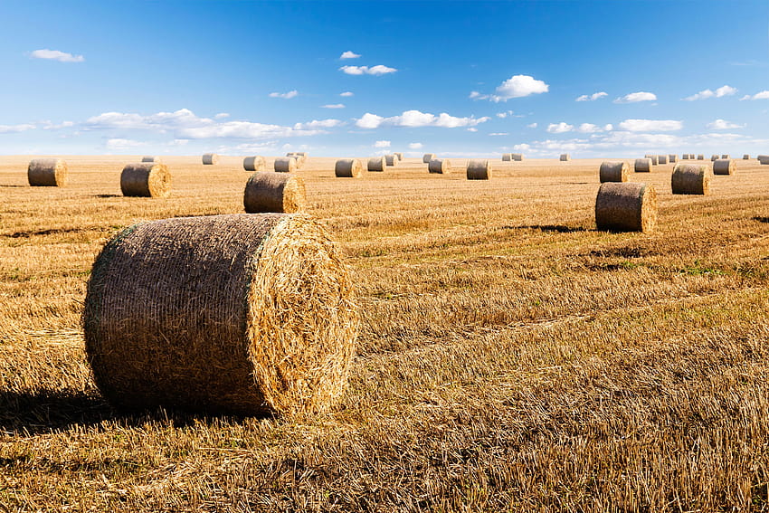 Hay bales and sky backgrounds HD wallpapers | Pxfuel