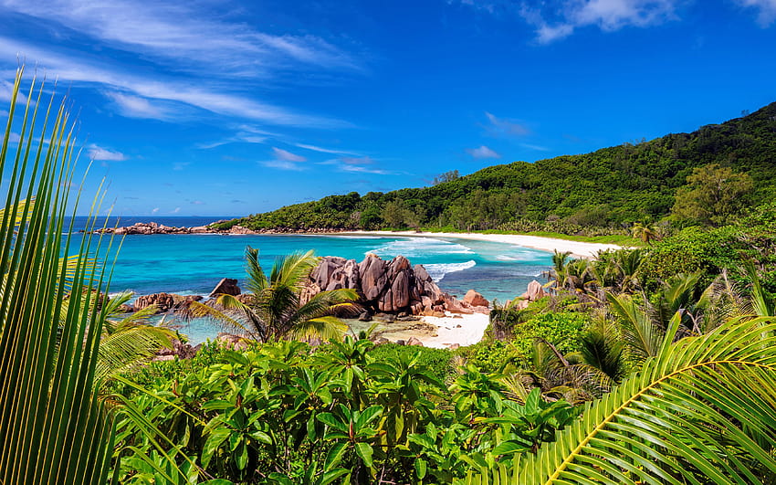 Anse Coco Beach On Paradise Island La Digue Island Seychelles, paradise beach ultra HD wallpaper