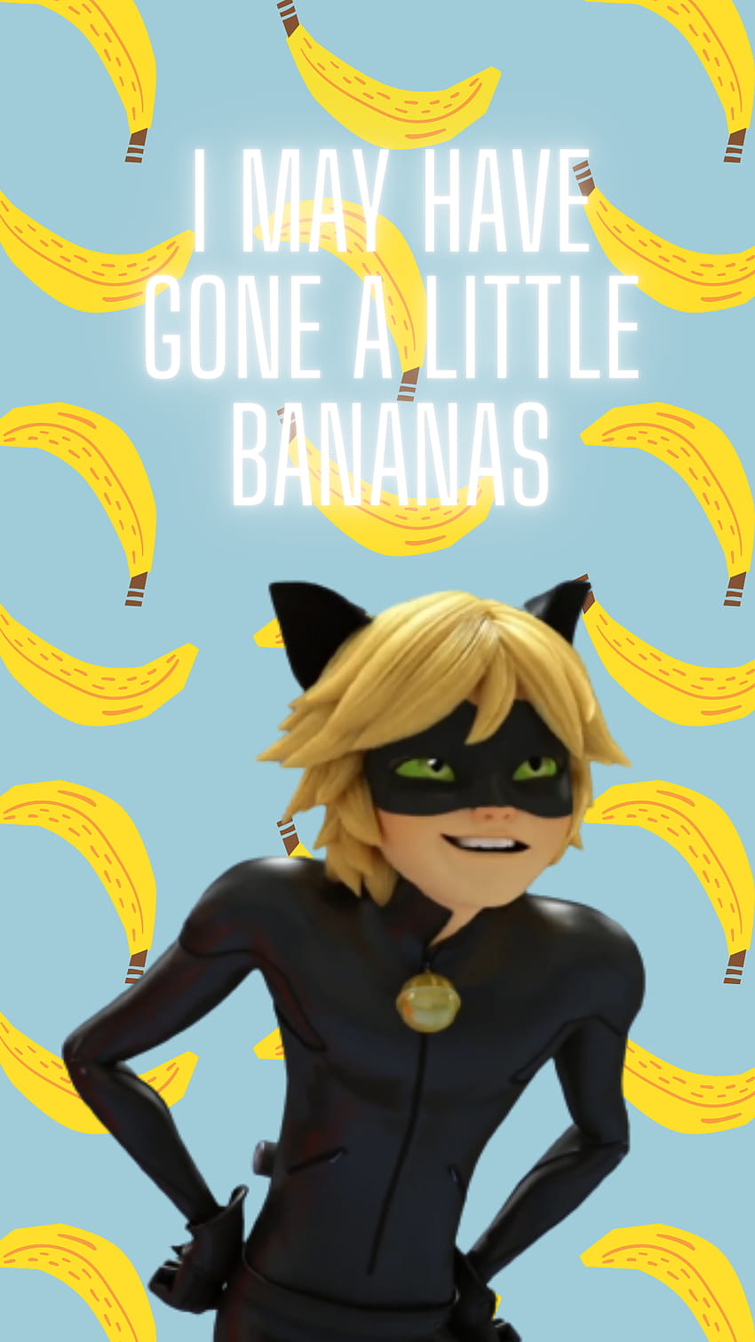 I made Cat noir because yes!, ladybug cat noir awakening HD phone wallpaper