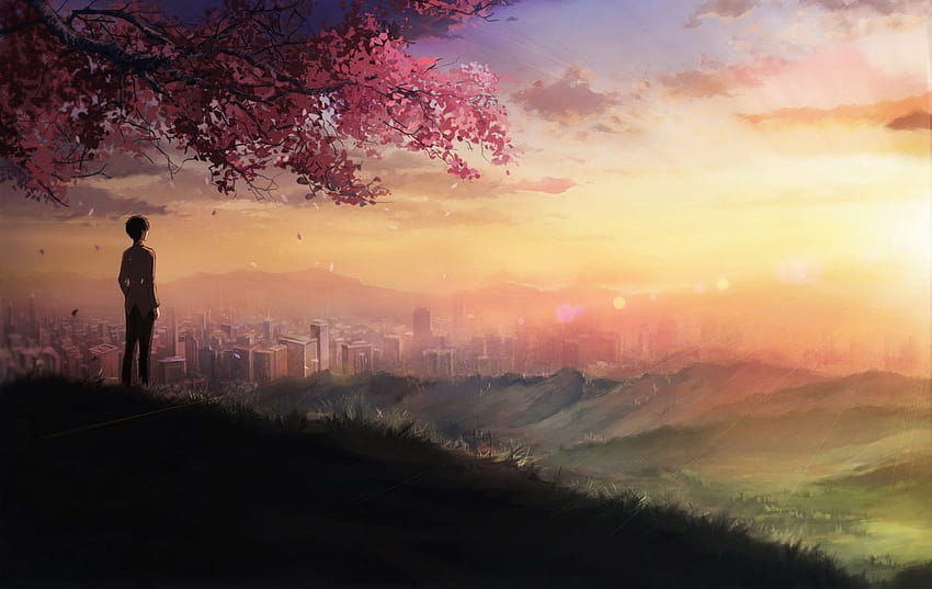 Anime Sunset, anime boy sunset HD wallpaper