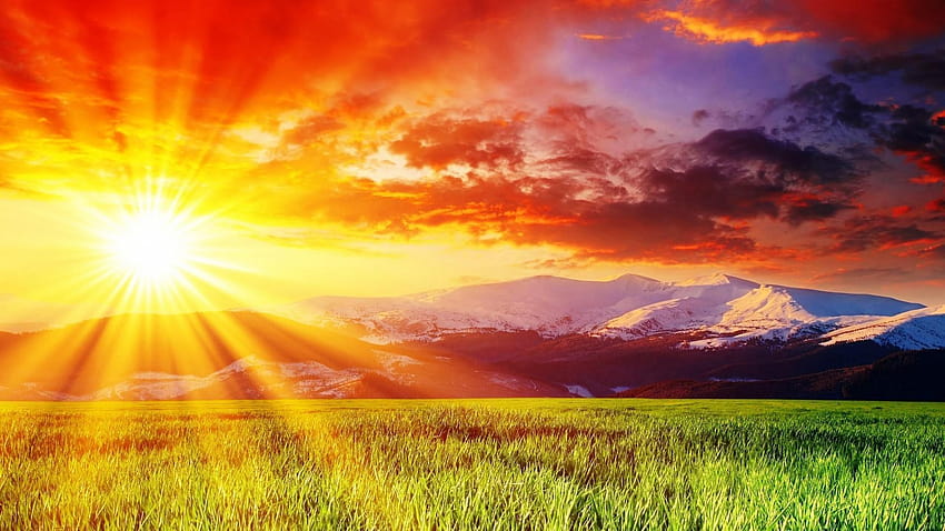 Sinar Matahari & Latar Belakang Sky Rays Pics, sinar matahari pagi Wallpaper HD