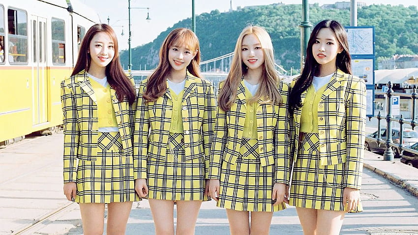 WHY NOT, yyxy HD wallpaper