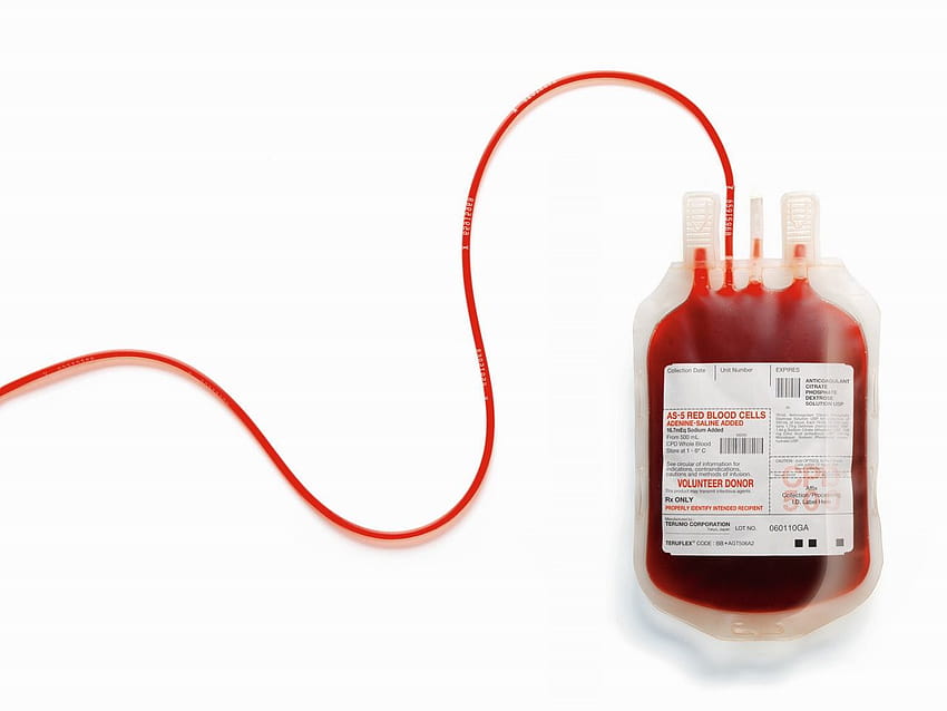 14 Superb Happy World Blood Donor Day Quotes, 2015 – BMS: Bachelor of Management Studies Portal, blood bank HD wallpaper