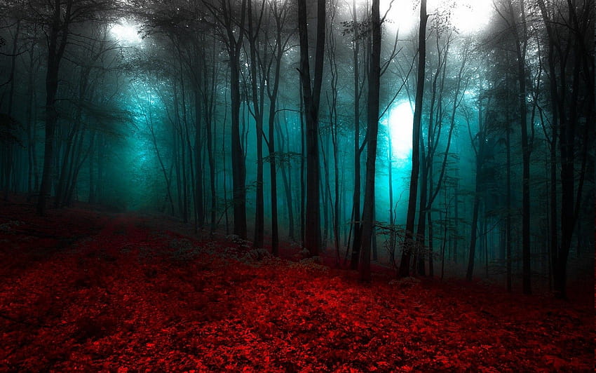 naturaleza, paisaje, rojo, azul, bosque, niebla, árboles, camino, bosque rojo fondo de pantalla