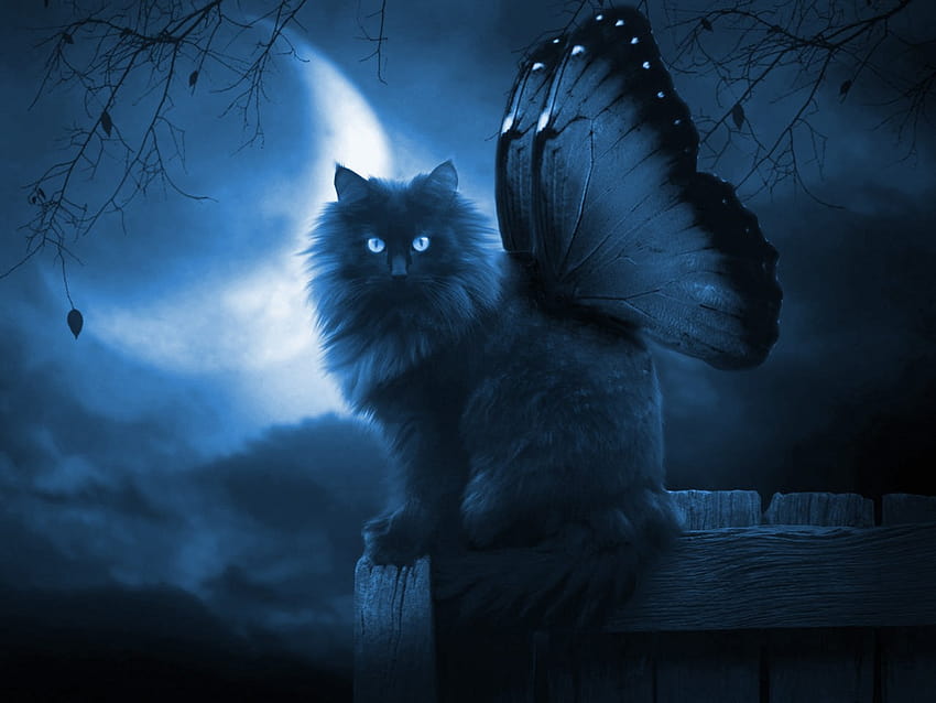 6 Fantasy Butterfly, cat and butterfly HD wallpaper | Pxfuel