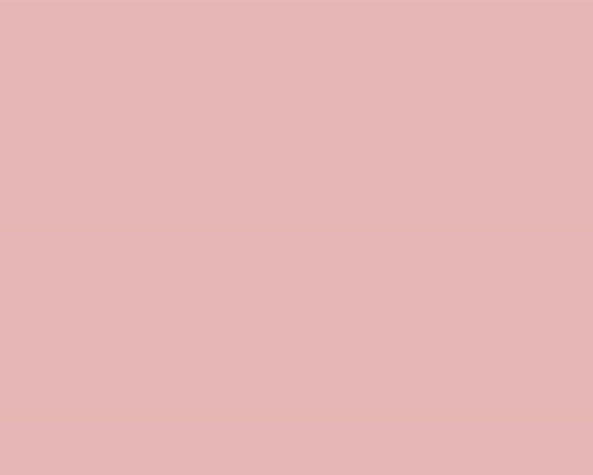 Bức ảnh perfect pastel pink background đem lại cho bạn một điểm nhấn đầy tinh tế cho hình ảnh của mình. Với sắc hồng nhạt tự nhiên nhưng không kém phần thanh lịch, hình nền là nơi tuyệt vời để đưa ra sự bắt mắt với thiết kế của bạn.