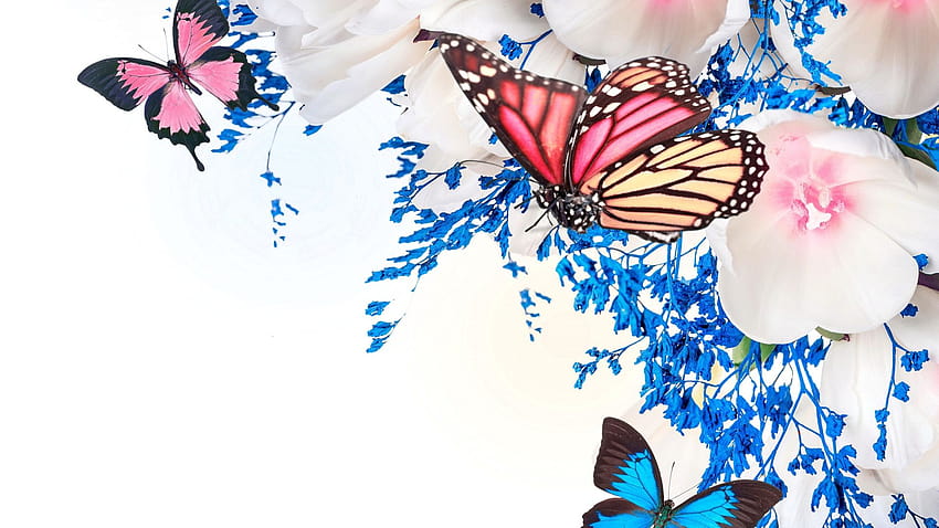 Como Novio: March 2020, aesthetic butterfly HD wallpaper