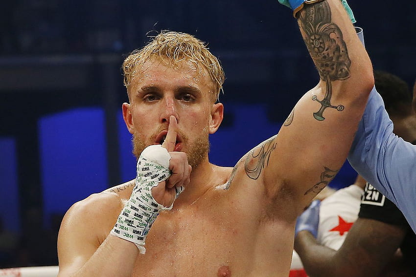 Jake Paul may have a new boxing rival: See who wants to fight him – Film Daily, jake paul boxing HD wallpaper