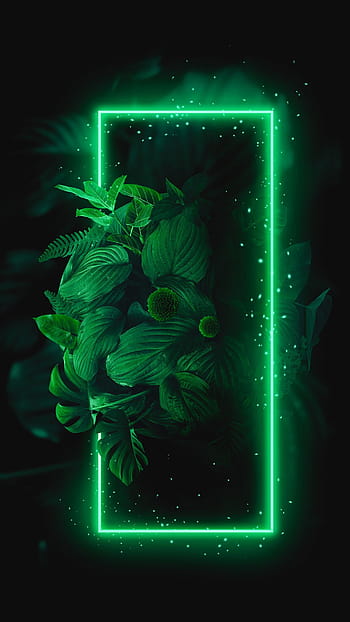 Download Lime Green Aesthetic Cute Plants Wallpaper  Wallpaperscom