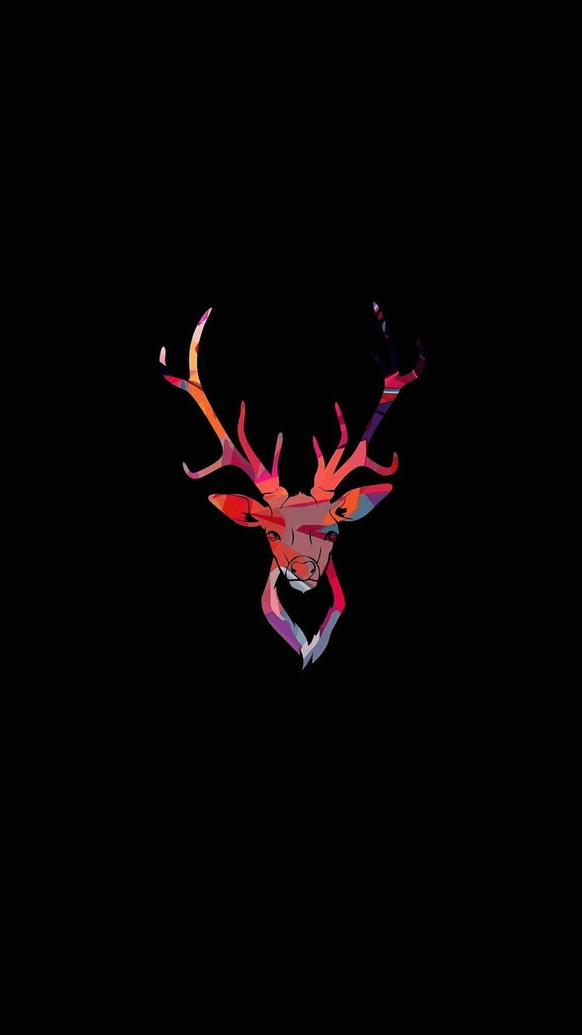Red Deer Skull on Dog, deer heads HD phone wallpaper