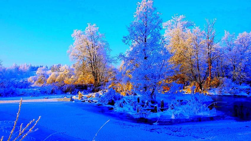 Winter Frozen Pond Blue Trees Sunrise Mobile, winter pond HD wallpaper