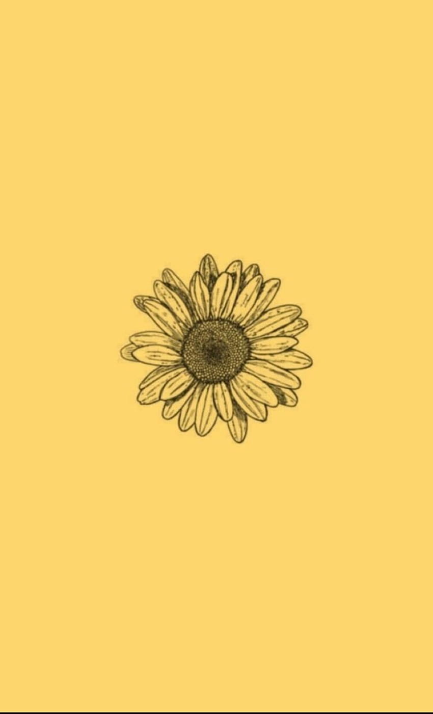 Dessin de fleur jaune esthétique, dessin de fleur esthétique Fond d'écran de téléphone HD