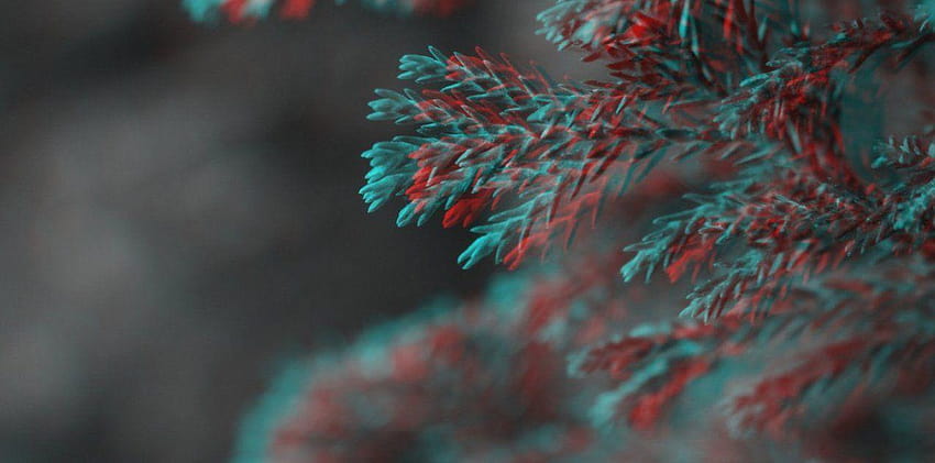 3D stereoscopic macro red/cyan anaglyph colorcode by MostEpic on, 3d in red cyan HD wallpaper