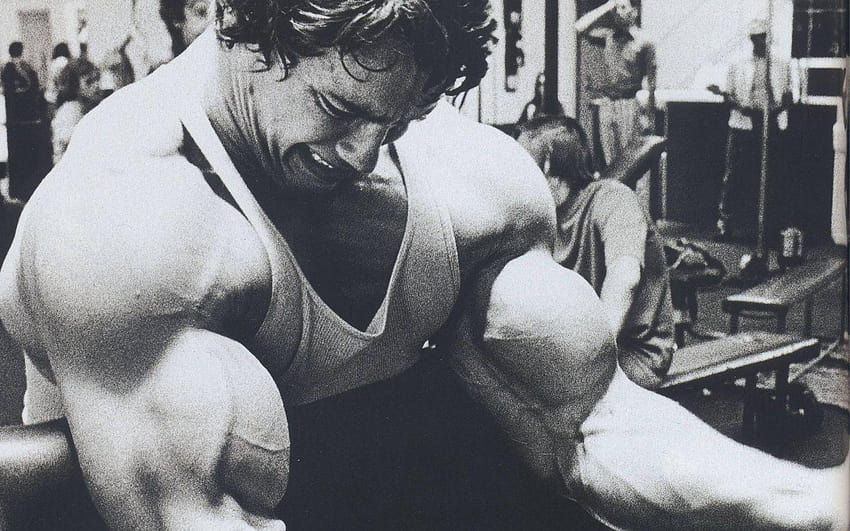 Os 5 grupos musculares mais importantes que você está negligenciando – Fitness Volt, bíceps papel de parede HD