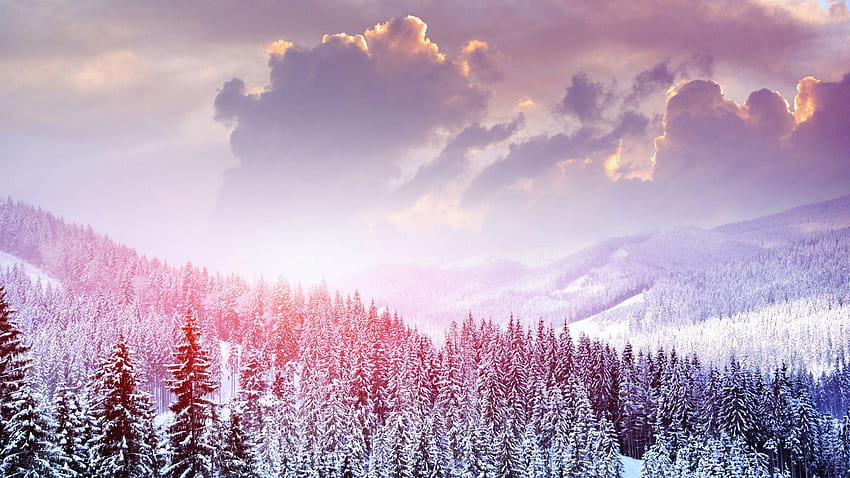 1920x1080 landscape, winter, snow, trees, texas landscape winter HD wallpaper