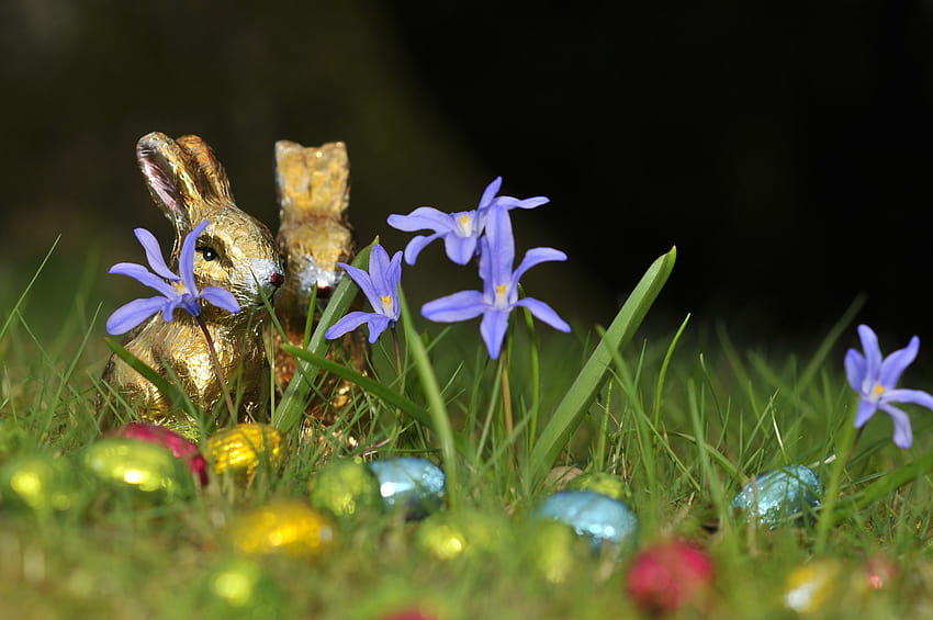 : nature, grass, blossom, meadow, flower, spring, golden, insect, botany, flora, fauna, invertebrate, wildflower, hare, close up, children, figure, eye, bee, candy, easter bunny, easter eggs, easter decoration, nectar, kitsch, easter golden bunny HD wallpaper