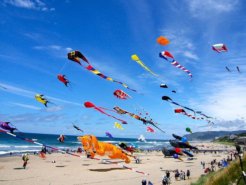 Kite flying delight for children at festival, flying kite HD wallpaper |  Pxfuel