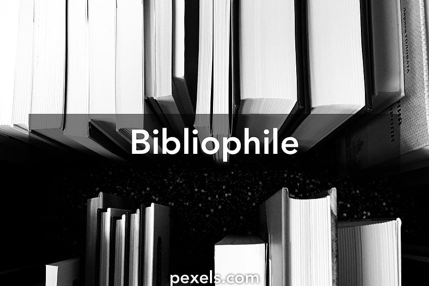 Bibliophile · Pexels HD wallpaper | Pxfuel