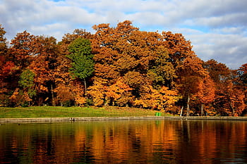 Autumn foliage, Schoenbrunn Palace, Vienna, Austria - Bing Wallpapers -  Sonu Rai