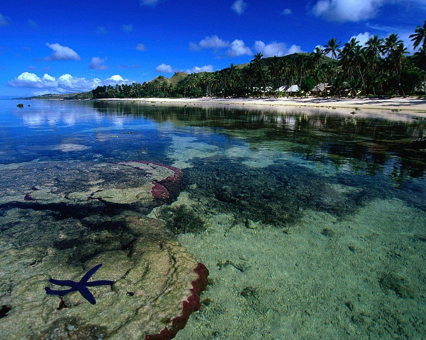 Coral Coast of Viti Levu Fiji Islands World, navala fiji islands HD wallpaper