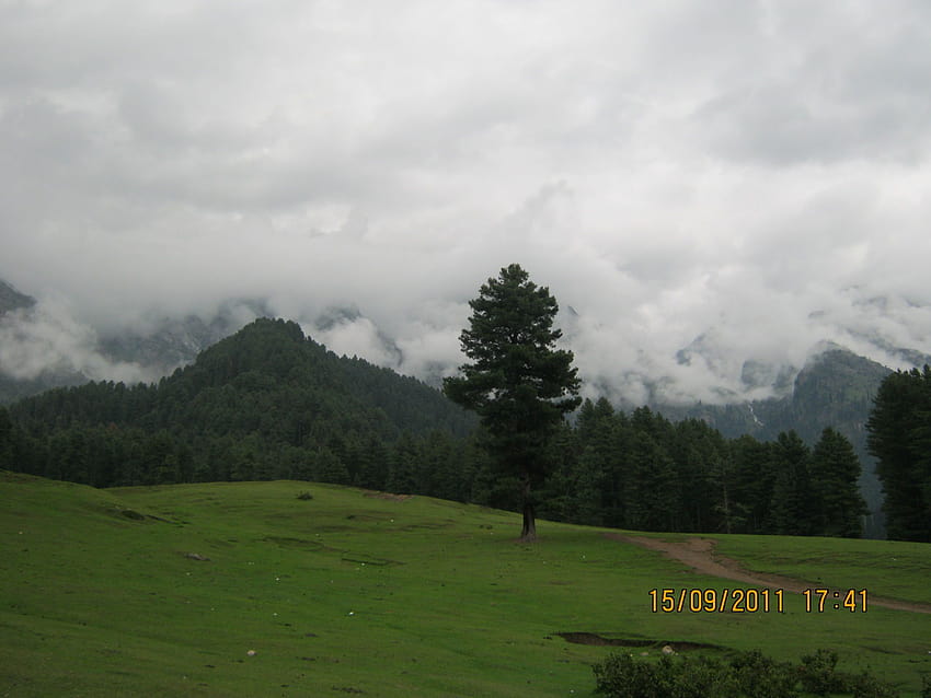 Bella Valle di Aru a Pahalgam, Kashmir, India. Luogo ideale per il trekking morbido. Sfondo HD