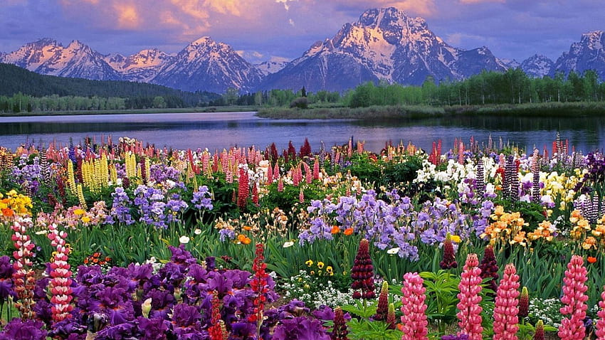아름다운 봄풍경 HD 월페이퍼