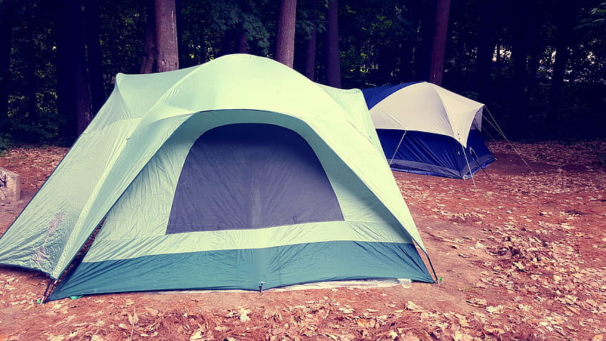 3072728 / 3840x2160 camping, camping, bosque, aire libre, tiendas de campaña, bosques JPG 953 kB, camping en el bosque fondo de pantalla