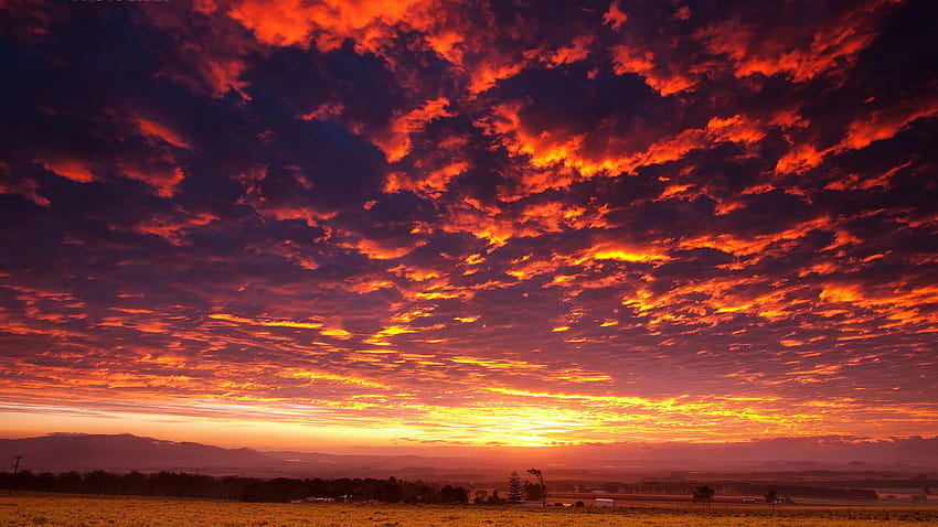 Sunset Sky 08520, fiery sunset HD wallpaper