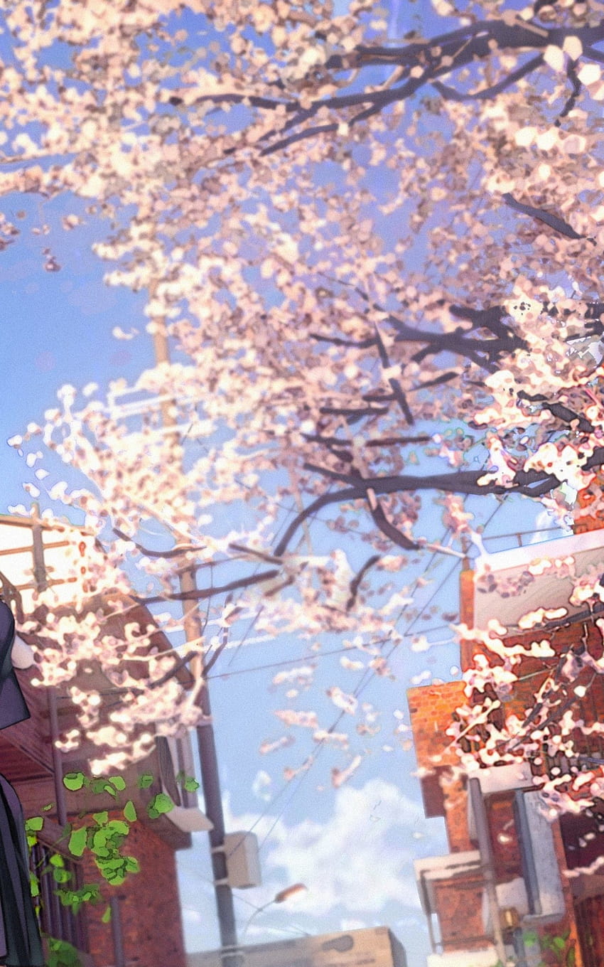 1600x2560 Cherry Blossom, Sakura Petals, Anime School, blossom tree anime HD тапет за телефон