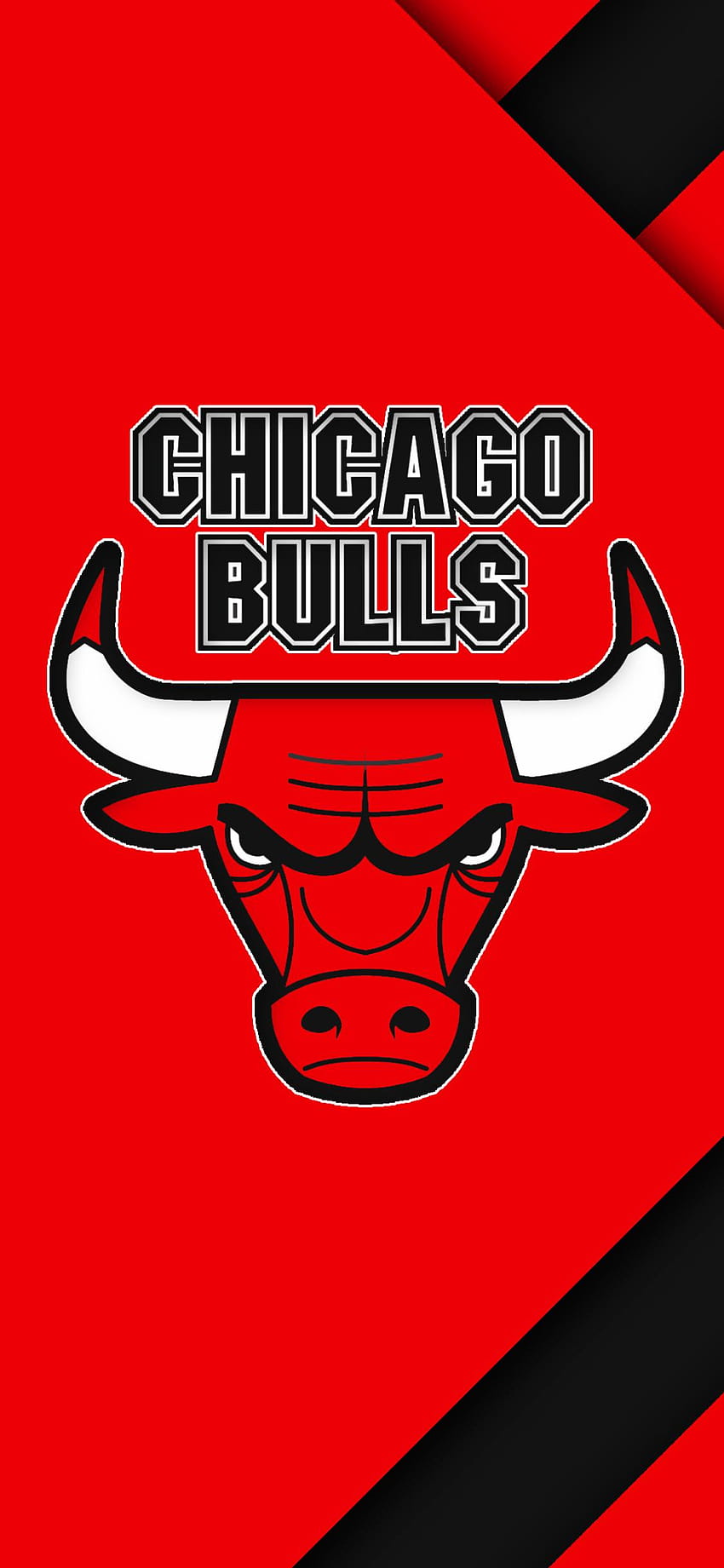 Sports/Chicago Bulls, mobilny byk Tapeta na telefon HD