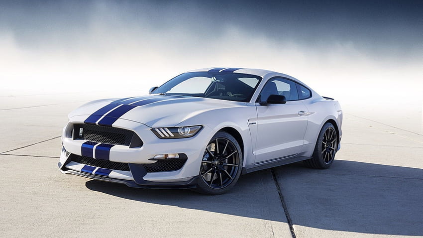 of Car, White, Muscle Car, Ford Mustang Shelby GT350 HD wallpaper