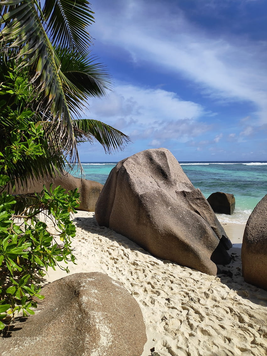 Сейшелски плаж HD тапет за телефон