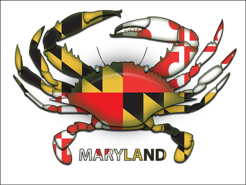 Maryland Flag Design Ladies [2442x1876] para seu celular e tablet papel de parede HD