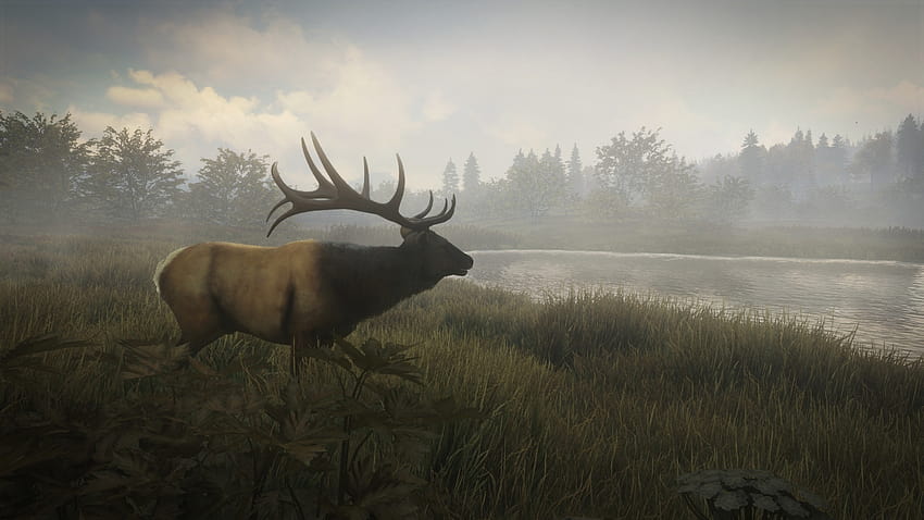 The Hunter, TheHunter: Call of the Wild Wiki