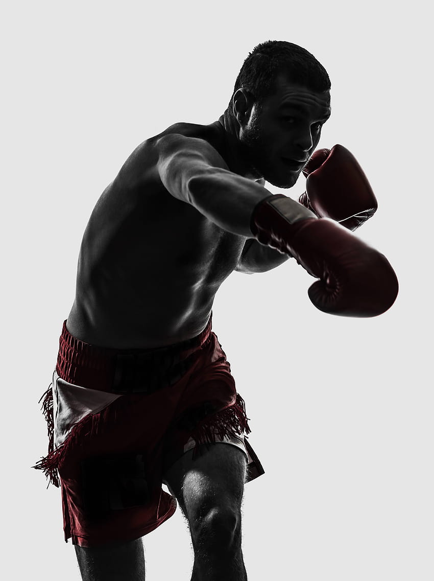 Kickboxing Photos, Download The BEST Free Kickboxing Stock Photos & HD  Images