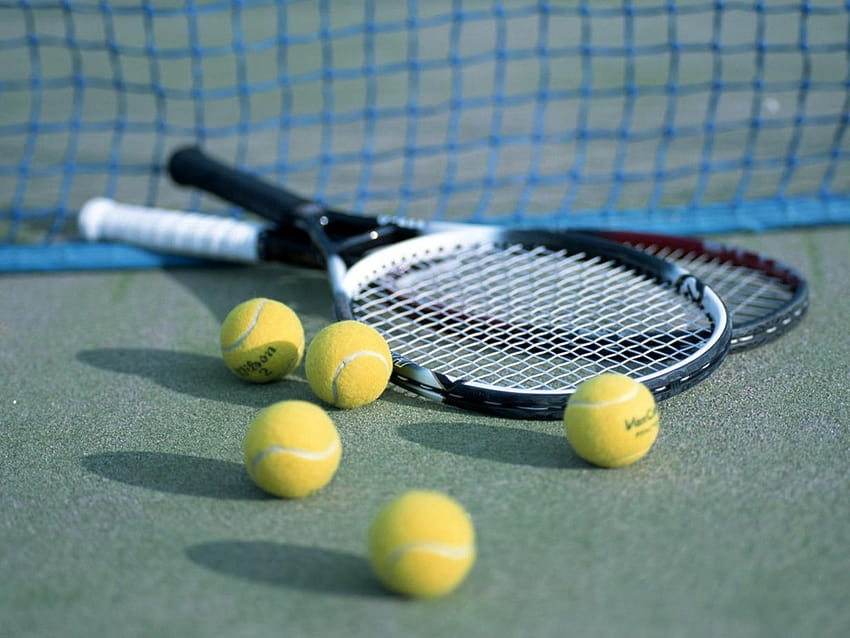 Tennis Stars Tennis Racquet [1024x768] for your , Mobile & Tablet, tennis racket HD wallpaper